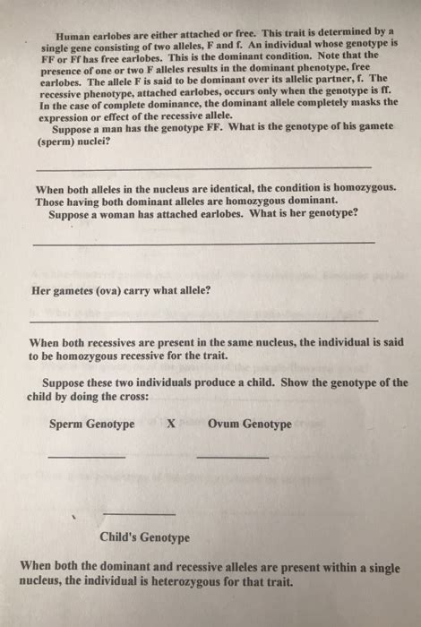 Solved 1. Suppose one gene has alleles A and a. Remember | Chegg.com 