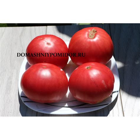 Германский розовый