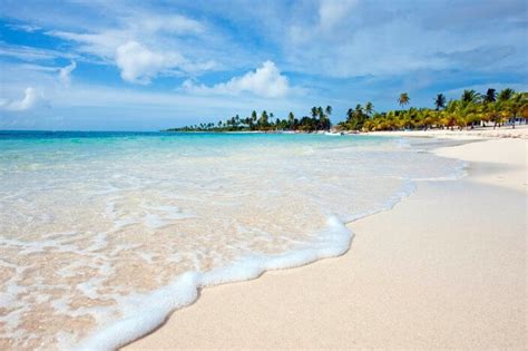 Isla Saona Desde Punta Cana Al Mejor Precio Bávaro Go