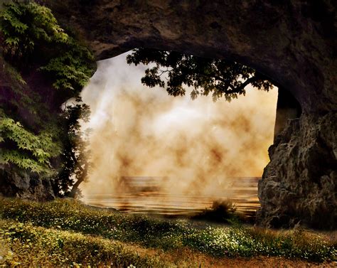 Fotos Gratis Paisaje árbol Naturaleza Bosque Césped Rock