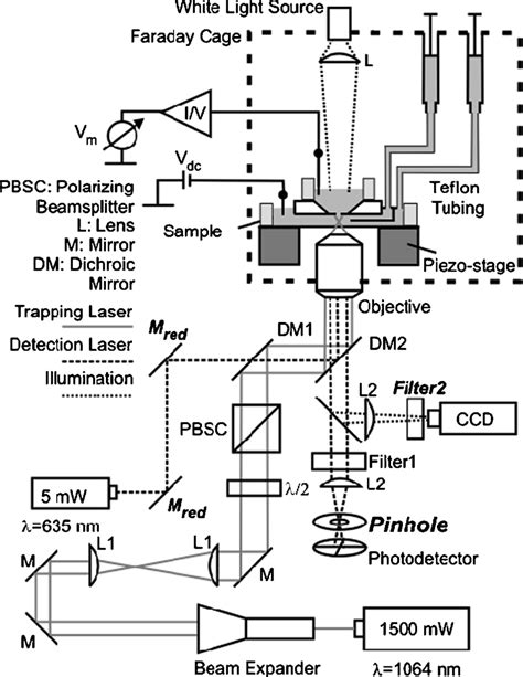 Schematic Of The Optical Tweezers Setup Two Lasers Infrared And Red