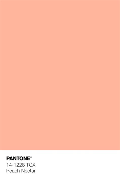 Pantone Tcx Peach Nectar Wallpaper Coral Colour Palette