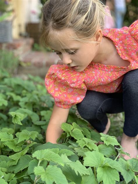 Comment choisir le bon désherbant pour votre jardin sourds