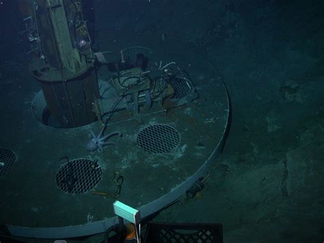 Mystery Microbes Discovered Beneath Seafloor Live Science