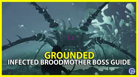 How To Beat Infected Broodmother In Grounded Gamer Tweak