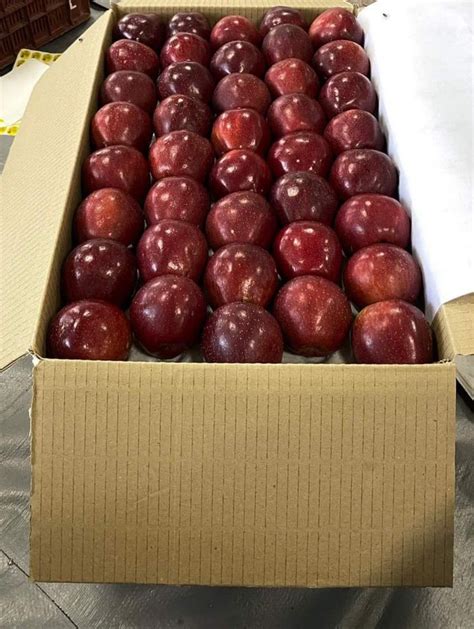 Himachali A Grade Fresh Apple Fruits Packaging Size Kg Packaging