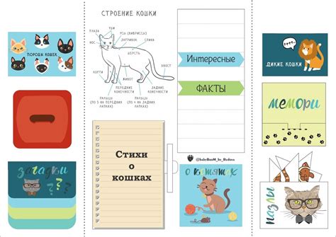 ЛЭПБУК ДЛЯ ДЕТЕЙ " КОШКИ" поделка №13312 своими руками с мастер-классом
