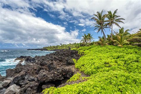 8 Beautiful State Parks in Maui You Must Visit (+ Map!)