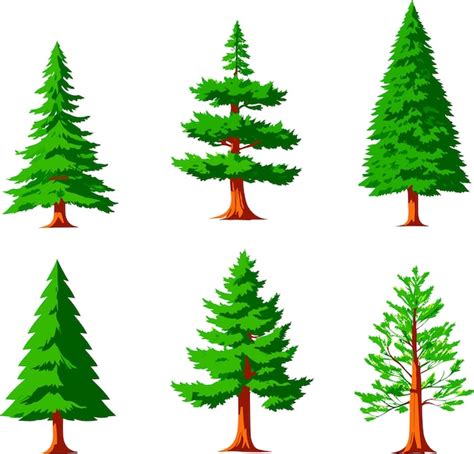 Diff Rents Types De Dessins Vectoriels D Arbres De Pins Et De Palmiers