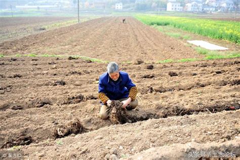 農村戶口遷到城市後，土地需要上交嗎？ 每日頭條