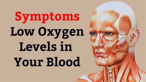 10 Signs Of Low Oxygen Levels In Your Blood Don T Ignore These YouTube