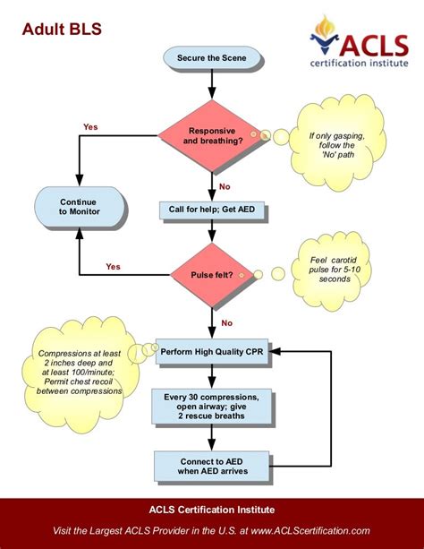 Adult Bls For Healthcare Providers Algorithm