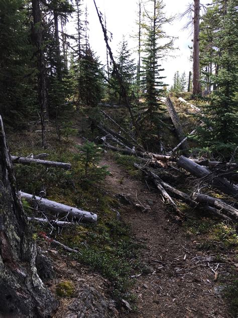 The Rim Rock Trail | A Rock In Time — Shuswap Adventure Girl