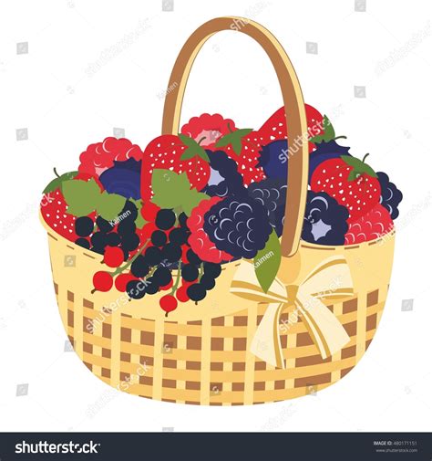 Basket Berries Vector Illustration Straw Basket Stock Vector Royalty