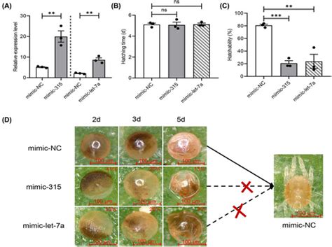 Genome‐wide Analysis Of Panonychus Citri Micrornas With A Focus On Potential Insecticidal