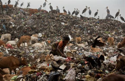 Indias Mount Everest Of Trash Is Growing Larger Than The Taj Mahal