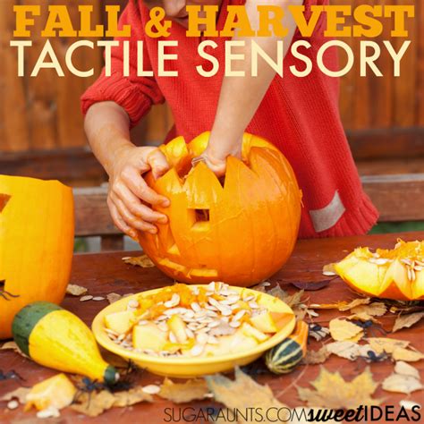 Fall Tactile Sensory Activities The OT Toolbox