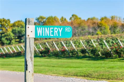 10 Virginia Wineries To Visit In 2024 — Best Wineries In Virginia