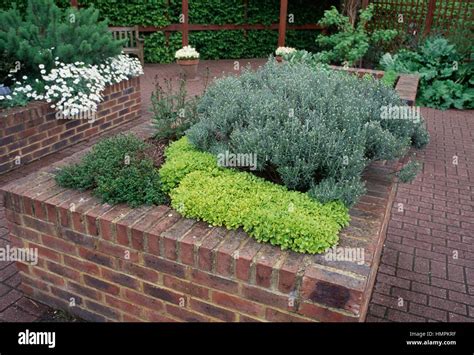 Brick raised flower bed Stock Photo - Alamy