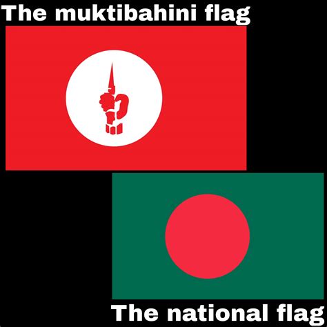 Unpopular opinion : The muktibahini flag should have been our national