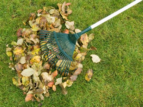 Blog 1 How To Prepare Your Lawn For Fall Naylor Landscape Management