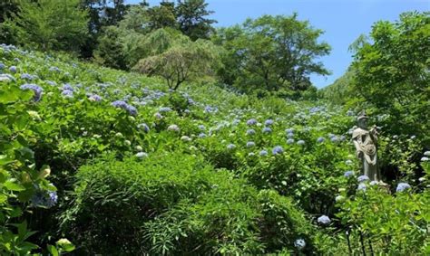 【千葉県】大多喜町の住みやすさを紹介！移住支援が手厚いおすすめの自治体