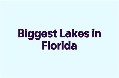 Biggest Lakes In Florida