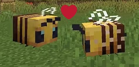 Minecraft Bees Guide Everything You Need To Know