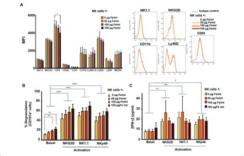 Phenotypic And Functional Analysis Of Murine Nk Cells After Their