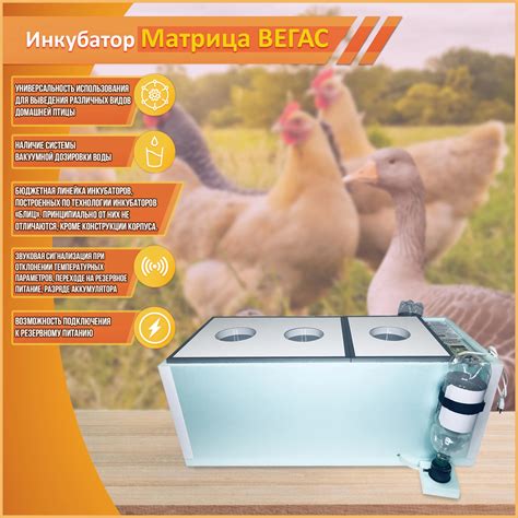 Инкубатор; Инкубатор для яиц;Инкубатор для куриных яиц; Инкубатор для ...