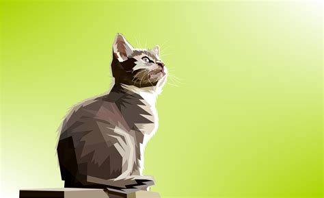 Cat Art Wallpaper