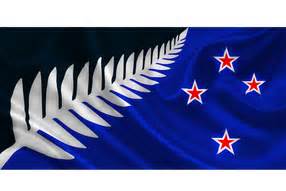 Preferred - Silver Fern Flag