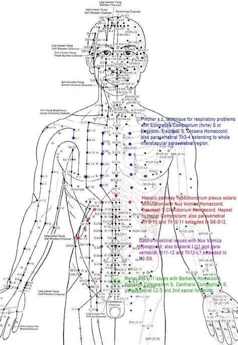 Pin by Randall James on Diagrams | Acupuncture points chart ...