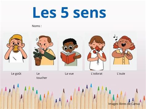 Book Creator Les Sens