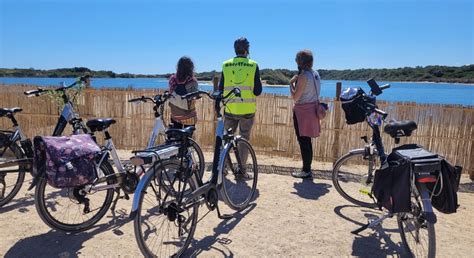 Free Bicycle Tour Of The Albufera Lake Of Valencia Valencia