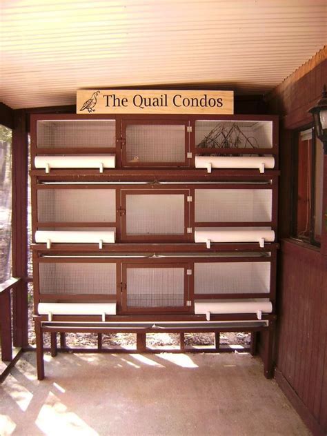 Show Me Your Quail Pens Quail Coop Quail Pen Raising Quail