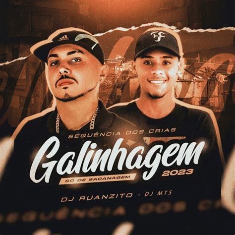 Stream Sequencia Dos Crias Da Galinhagem 2023 SÓ De Sacanagem Dj