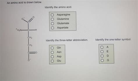 An Amino Acid Is Drawn Below Identify The Amino A Chegg