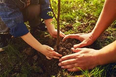 Parma Dal All Luglio Il Festival Della Green Economy Il Programma