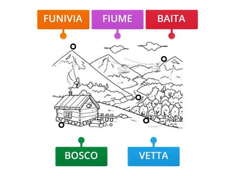 Montagna Labelled Diagram