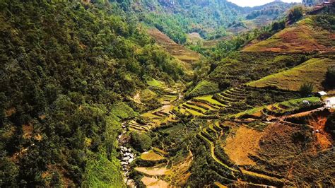 Premium Photo Rice Terraces In The Mountains Of Banaue