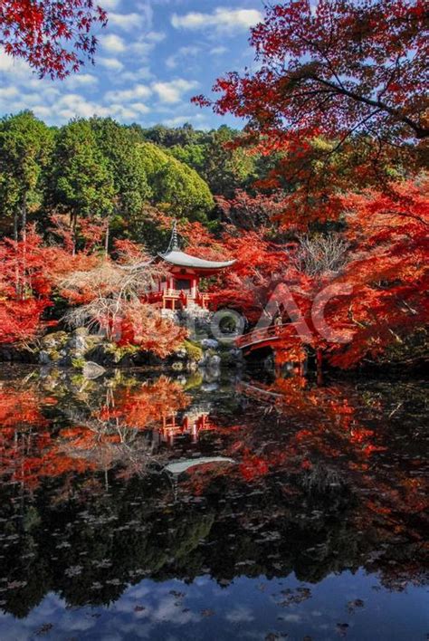 醍醐寺 弁天堂の紅葉（京都市伏見区醍醐） No 28174498｜写真素材なら「写真ac」無料（フリー）ダウンロードok