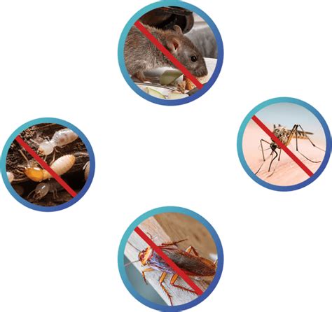 Home Pest Control Lewisville Lewisville Pest Control Frontier Services Frontier Services