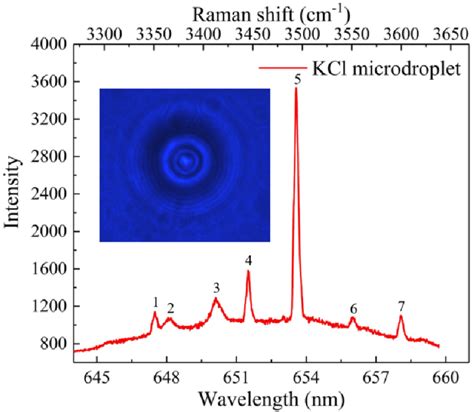 Representative Morphology Of A KCl Microdroplet Trapped By The Optical