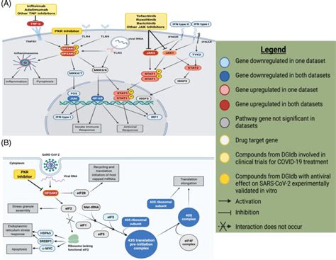 Differential gene and pathway expression analysis revealed key genes ...
