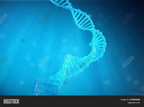 Helix Dna Molecule Image And Photo Free Trial Bigstock