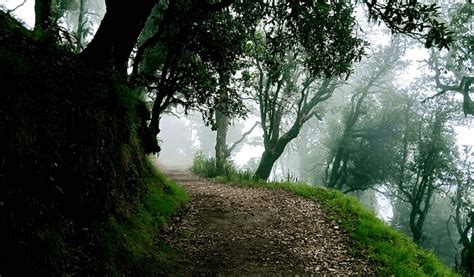 Kalesar Wild Life Sanctuary