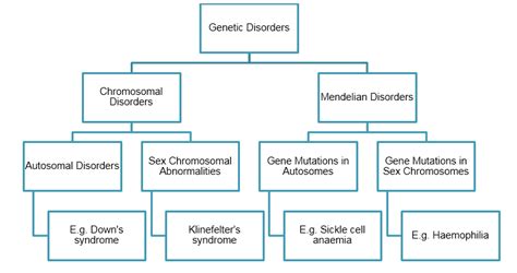 Chromosome Flow Chart