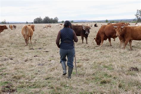 Los Consejeros De Mundo Rural De Vox Remiten Otra Carta A Planas Para