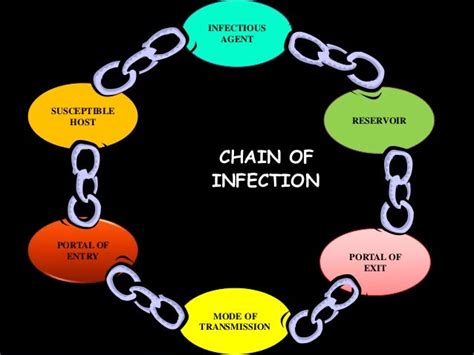 Chain of Infection